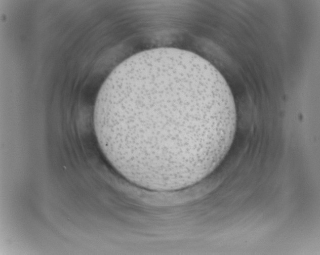 X0000074310034200609152018