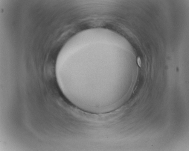 X0000074310035200609152018