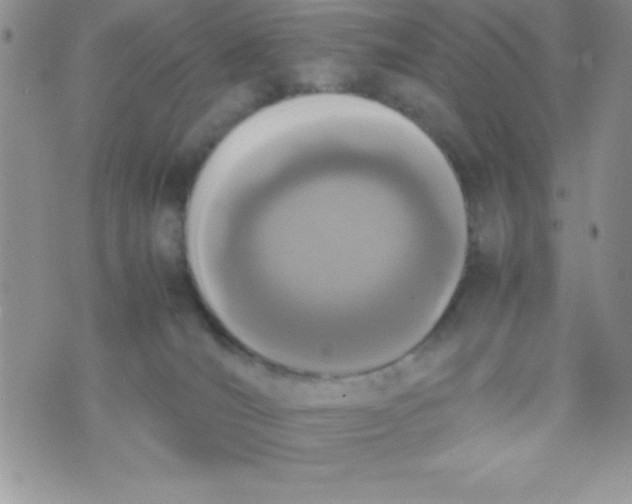 X0000074310036200609152018