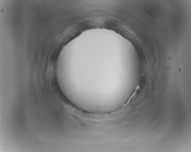 X0000074310037200609152018