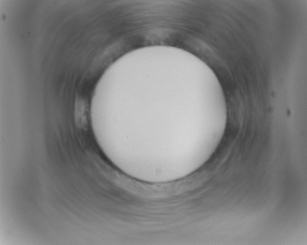 X0000074310038200609152018