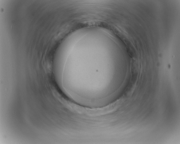 X0000074310039200609152018