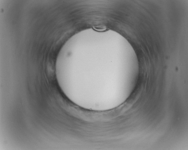 X0000074310040200609152018