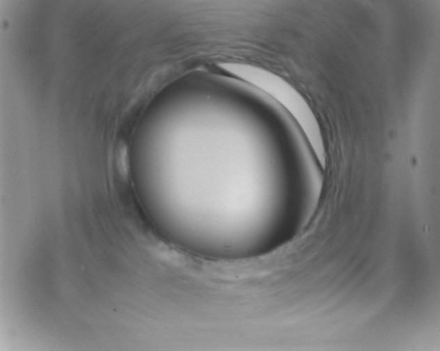 X0000074310041200609152018