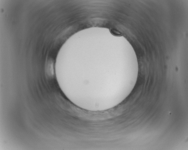 X0000074310042200609152018