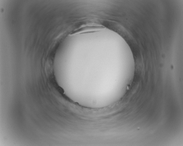 X0000074310043200609152018