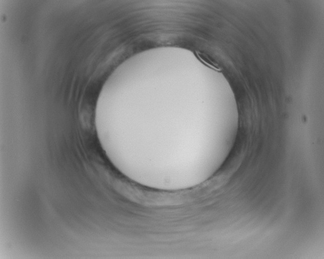 X0000074310044200609152018