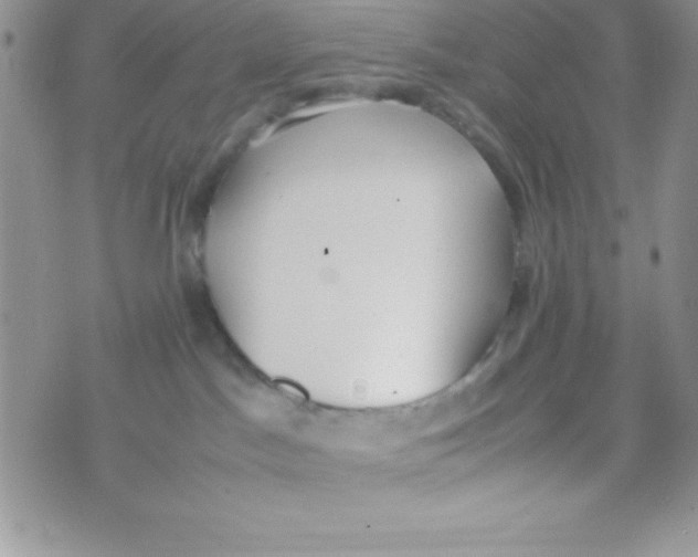 X0000074310045200609152018