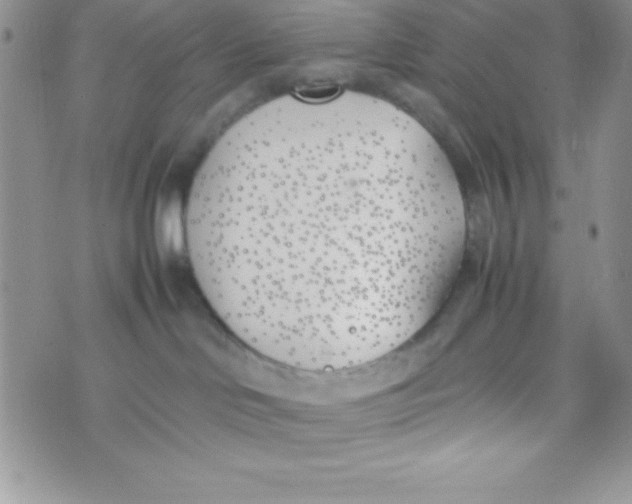 X0000074310046200609152018