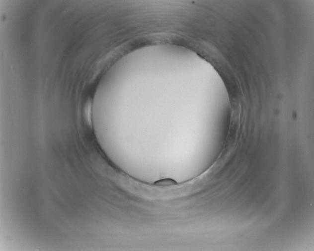 X0000074310047200609152018