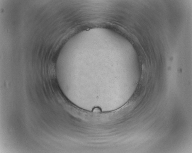 X0000074310048200609152018