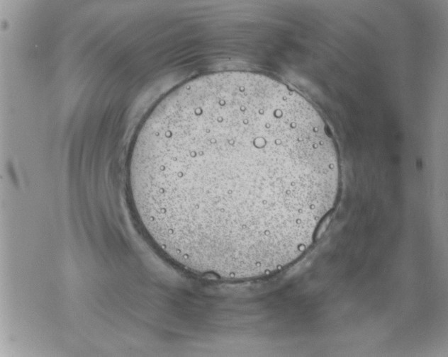 X0000074310049200609152017