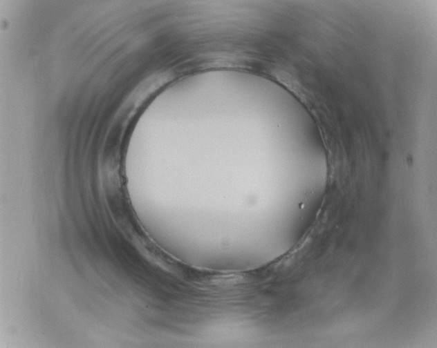 X0000074310050200609152017