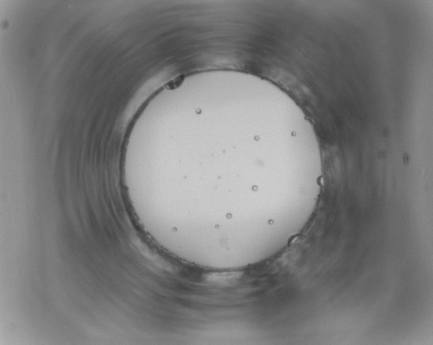 X0000074310051200609152017