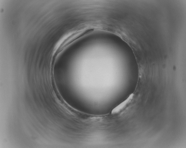 X0000074310052200609152017