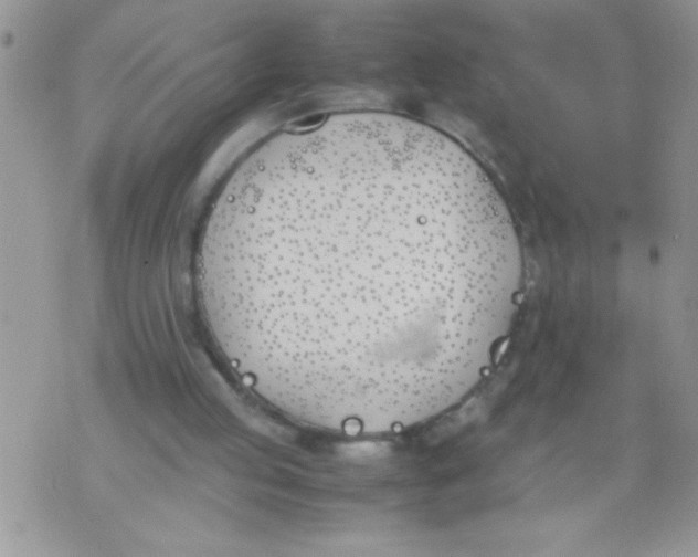 X0000074310053200609152017