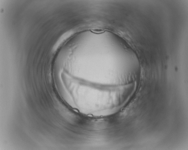 X0000074310054200609152017