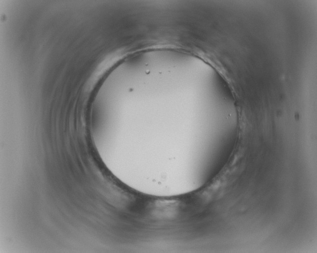 X0000074310055200609152017