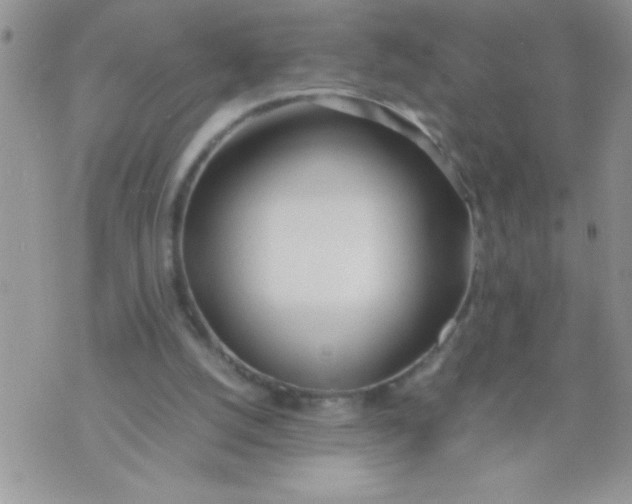 X0000074310056200609152017