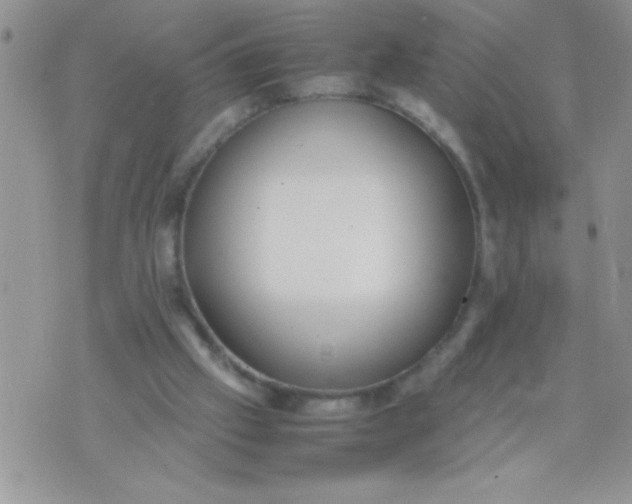 X0000074310057200609152017