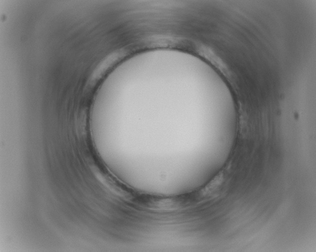 X0000074310058200609152017