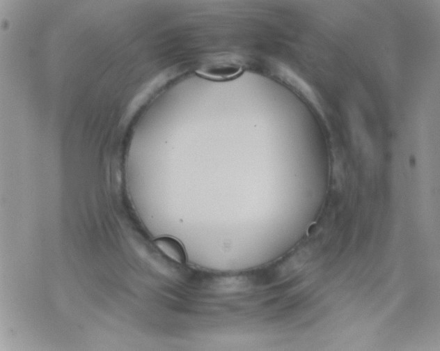 X0000074310059200609152017