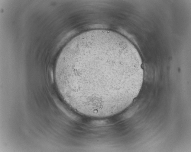 X0000074310061200609152017