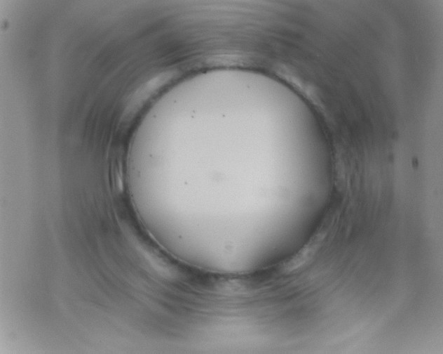 X0000074310062200609152017