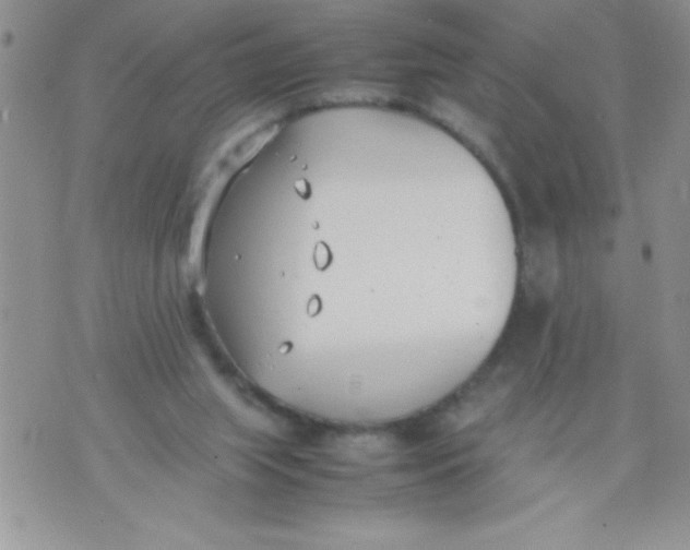 X0000074310063200609152017