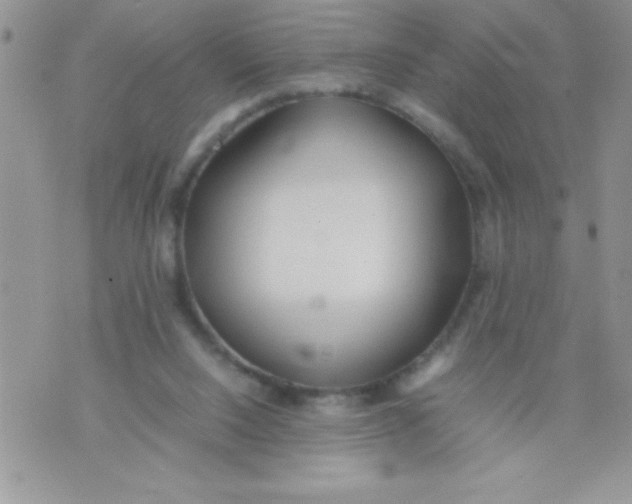 X0000074310064200609152017