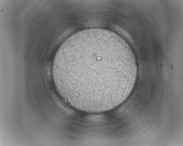 X0000074310065200609152017