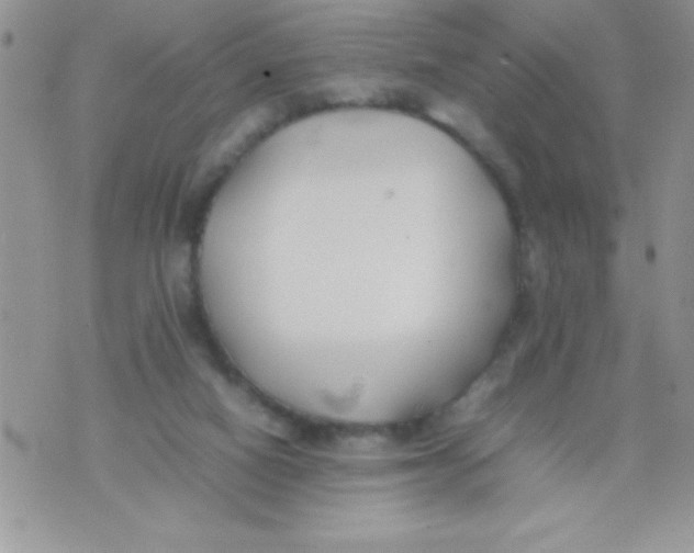 X0000074310066200609152017