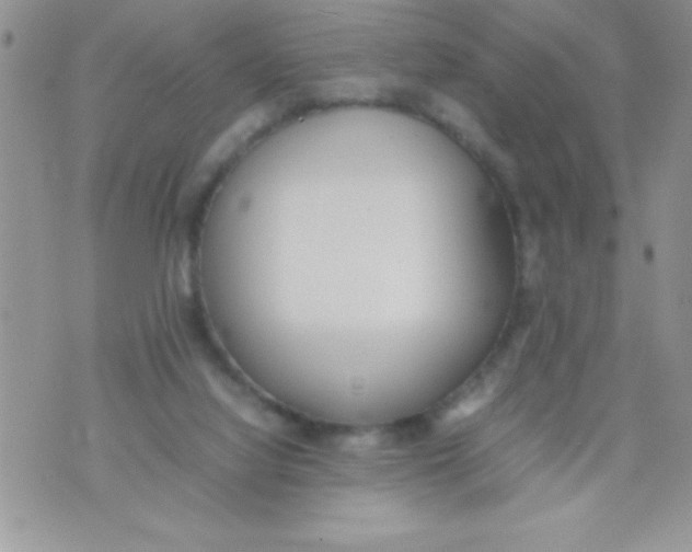 X0000074310068200609152017