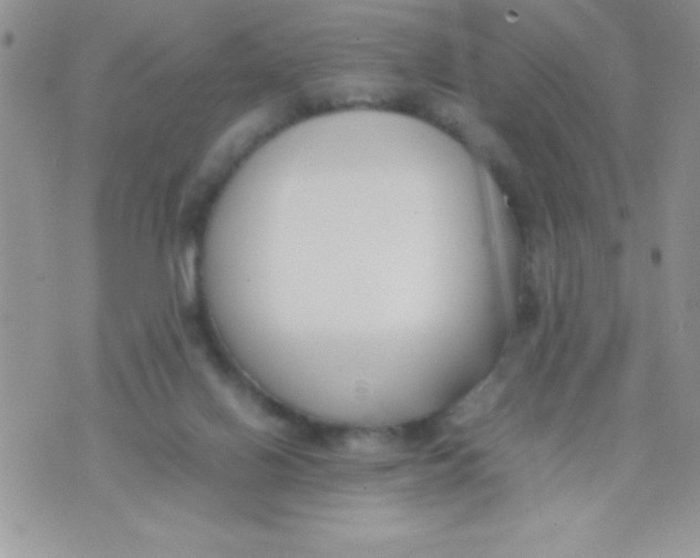 X0000074310070200609152017