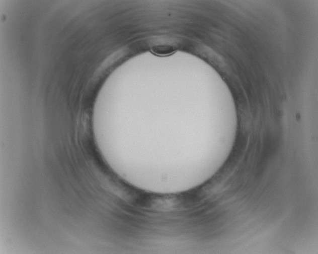 X0000074310071200609152017