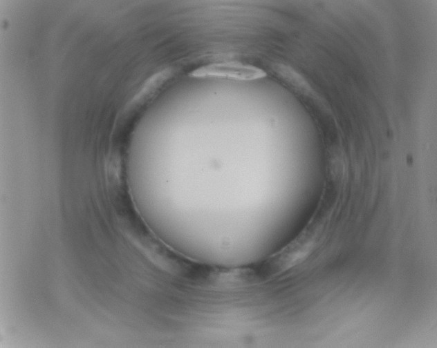 X0000074310072200609152017