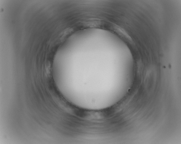 X0000074310073200609152017