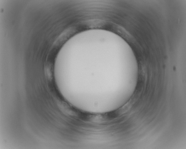 X0000074310074200609152017