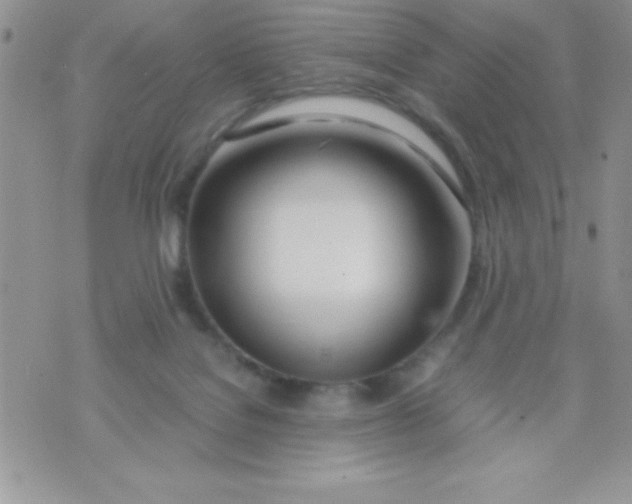 X0000074310076200609152017