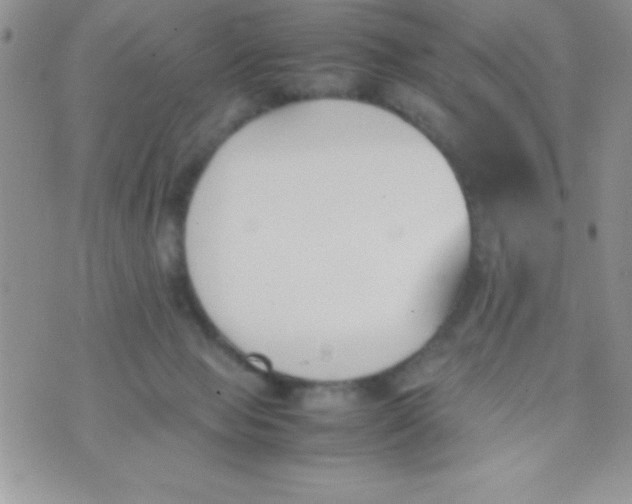 X0000074310077200609152017