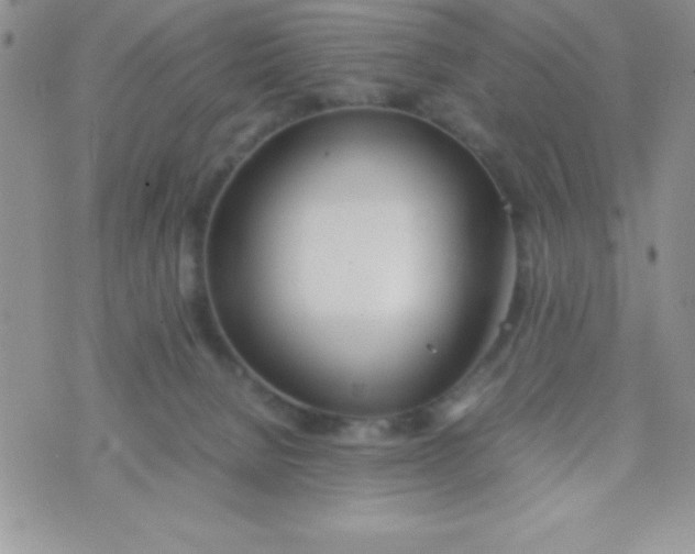 X0000074310080200609152017