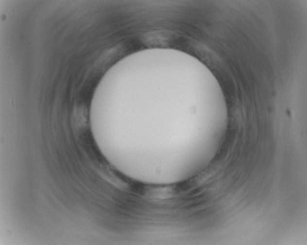 X0000074310081200609152017