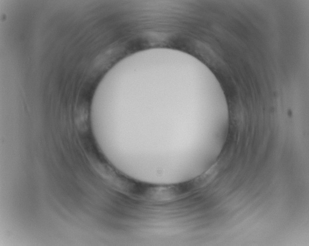 X0000074310082200609152017