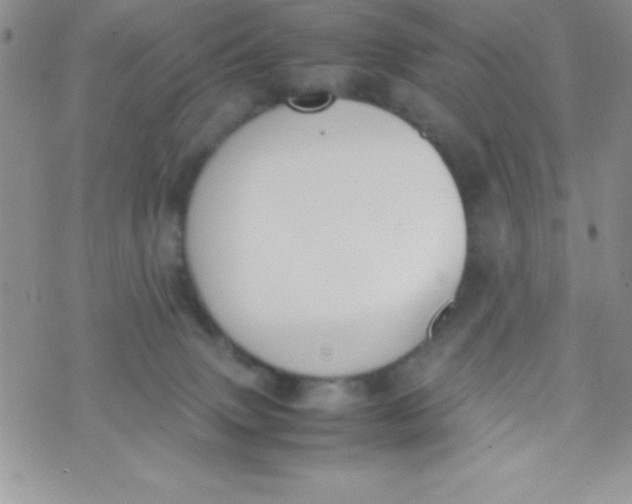 X0000074310083200609152017