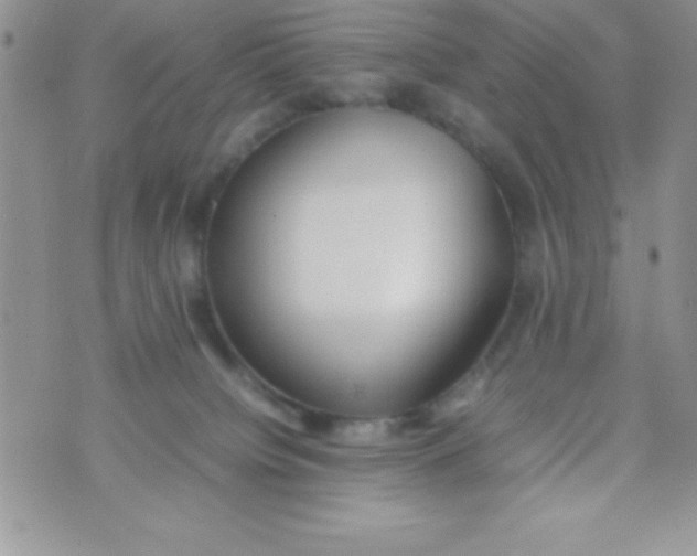 X0000074310084200609152017