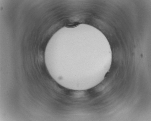 X0000074310085200609152017