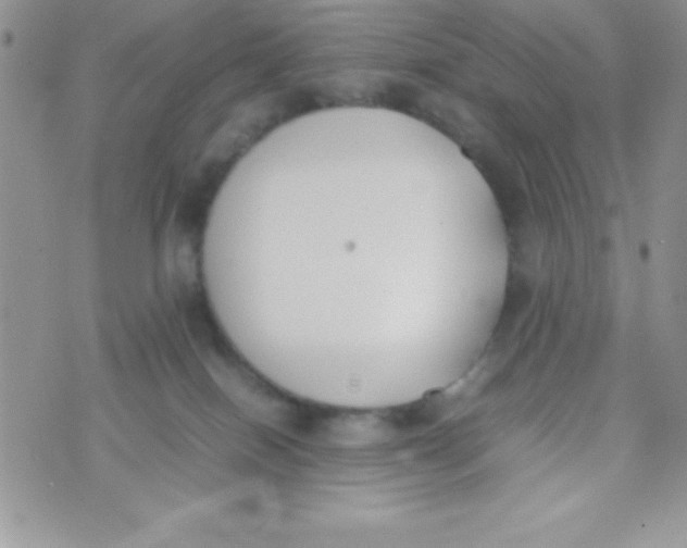 X0000074310086200609152017