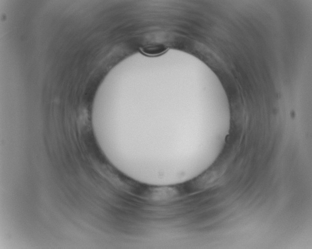 X0000074310087200609152017