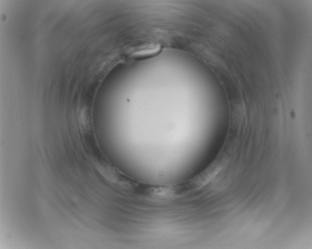 X0000074310088200609152018