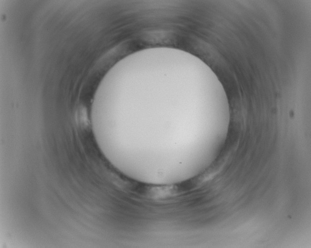 X0000074310089200609152018